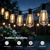 Guirlandes lumineuses LED personnalisées 24V IP44 en PVC, ampoules PET incassables longue durée, solutions d'éclairage extérieur à économie d'énergie