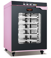 Armoire de Fermentation Électrique en Acier Inoxydable pour Pains Chinois 160L pour Hôtels, Restaurants, Boulangeries PLC VNTKITCHEN CE