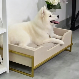 Cama de madera al por mayor para perros y gatos con cojín, sofá elevado de madera contrachapada para perros, muebles para mascotas con estructura metálica elevada - Product Image 4