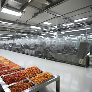 Ligne de production de fruits entièrement automatique, neuve, machine de fabrication à haut rendement, produisant des volumes importants - Product Image 6