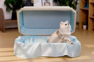 Urne funéraire octogonale pour animaux de compagnie, doublure douce, couvercle à charnières avec support, couleur crème, cercueil commémoratif pour cendres d'animaux de petite taille, souvenir funéraire - Product Image 4