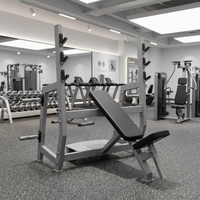 Presse pectorale inclinée à charge libre pour musculation, entraînement des bras en salle de sport