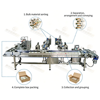 Système de tri et de comptage automatique à grande vitesse pour sachets de compléments alimentaires vitaminiques YH