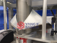Machine YB-520F remplissage automatique de poudre de lait en poudre de granule de sac de paquet de piment de farine