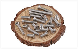 Tornillo de <span class=keywords><strong>cabeza</strong></span> <span class=keywords><strong>avellanada</strong></span> plana Phillips de Cruz larga alargada de acero inoxidable 304 M2 M2.5 M3 M4 M5 M6 M8 M10 M12 - Product Image 6