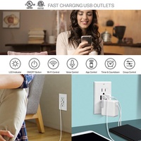 Nordamerikanischer Standard-konformes 15A TR USB-Wandsteckdose BAS15-2USB 2 Typ-A Weiße Doppel-Ladebuchse OEM ODM