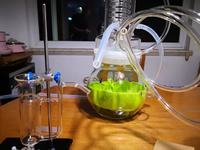 Distillateur domestique en verre rétro à double usage pour l'extraction d'huiles essentielles et de dews purs