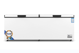 <span class=keywords><strong>Congelatore</strong></span> a <span class=keywords><strong>Pozzetto</strong></span> Monotemperatura per Supermercati, Attrezzatura per Refrigerazione, Conservazione Carne in Cucina, <span class=keywords><strong>Prezzo</strong></span> Conveniente - Product Image 6