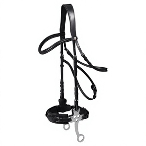 Brida de Cuero de Lujo Estilo Inglés Hecha a Mano para Caballo, Color y Tamaño Personalizables 2x3x2m - Product Image 2