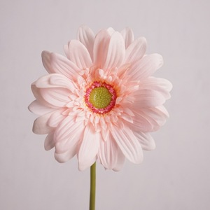 RK232 Fiore Artificiale Gerbera Daisy a Stelo Singolo Effetto Realistico Bianco <span class=keywords><strong>Rosa</strong></span> per Decorazioni Casa Matrimonio Centrotavola - Product Image 2