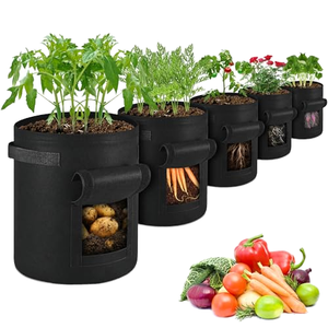 <span class=keywords><strong>Sac</strong></span> <span class=keywords><strong>de</strong></span> plantation en tissu non tissé noir <span class=keywords><strong>de</strong></span> 7 gallons, réutilisable et durable, avec poignées, pour la culture <span class=keywords><strong>de</strong></span> pommes <span class=keywords><strong>de</strong></span> terre, <span class=keywords><strong>de</strong></span> fleurs et <span class=keywords><strong>de</strong></span> <span class=keywords><strong>semis</strong></span> - Product Image 1