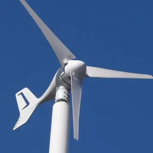 Alternative Energy Horizontal Axis Alternator Generator Wind Turbine For Home Or Garden