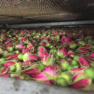 Bouton de rose français de haute qualité naturel nouveau bouton de rose français séché pour boire du thé