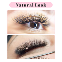 Extensions de Cils YY 2D 3D 4D 5D 6D en Forme de W Volume Pré-fait Faux Cils Plateaux de Cils YY