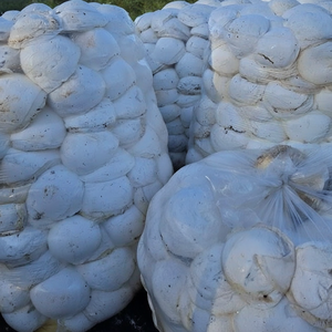 ยางธรรมชาติชนิด DRC คุณภาพสูงแบบก้อน |   ต้นกำเนิดโดยตรง ขายส่งจำนวนมาก - Product Image 1