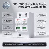Dispositif de protection contre les surtensions (SPD) BKD-F100, protection robuste de classe A 200 kA pour énergie éolienne 1140 V CA avec alarme à distance, certifié CCC CE