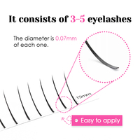 Extensions de cils en gros 0.07 C D Curl Spike Fairy, cils 3D en forme de A/M, faux cils naturels à auto-greffage