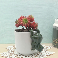 Miniatur Taman Peri Rumah Dekoratif Bantal Vas Pot Bunga Keramik Katak Lucu Menawan Minimalis