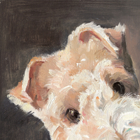 Peinture à l'huile impressionniste personnalisée, dessinée à la main, sur toile avec cadre en bois, impression Giclée haute résolution, revêtement anti-UV, animal renard