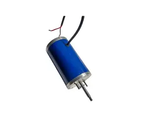 3000RPM Brushed Motor CW/CCW High Speed Permanent Magnet DC Motor High Torque 29W Motor