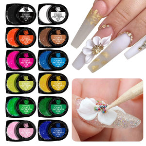 Kit de Gros 12 Couleurs Gel UV 3D Acrylique pour Sculpture d'Ongles, Modélisation LED, Outil d'Art Floral pour Manucure - Product Image 1