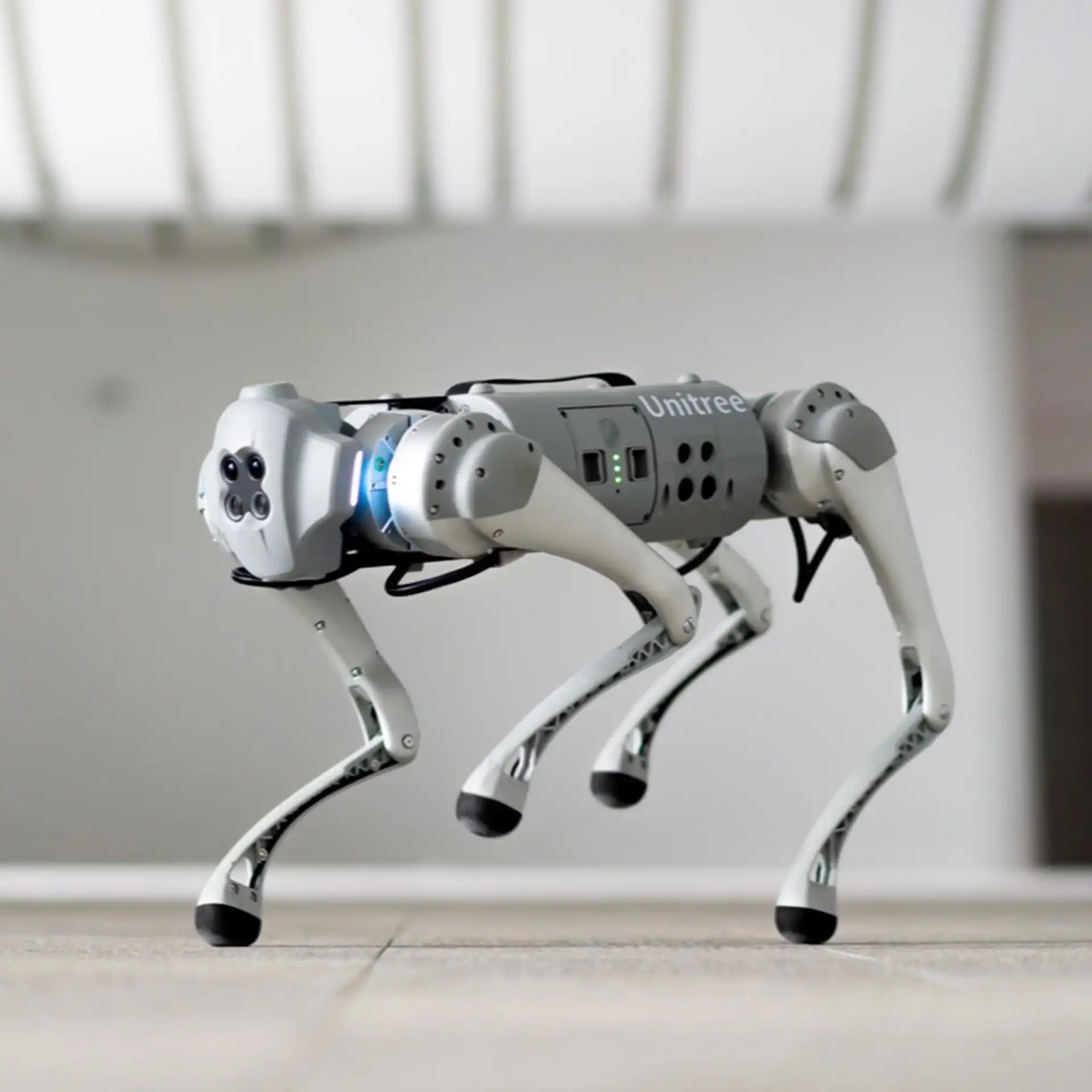 Unitree Go1 Quadruped Robot with AI Vision Powered by Unitree Robotics Open Source Robot Dog for MIT Education