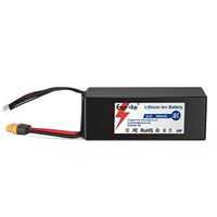 Batterie liquide 22,2 V 3000 mAh 66,6 Wh avec BMS, 800 cycles, température de fonctionnement 0~45°C, pour drone UAV FPV, cathode LiNiMnCoO2, 6 cellules
