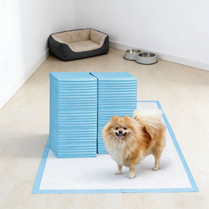 Almohadillas Ultra Absorbentes de 5 Capas para Perros, Almohadillas de Entrenamiento para Cachorros, Almohadillas Desechables de Papel PE para Mascotas, Almohadillas para Orina de Perros, Venta al por Mayor de Fábrica - Product Image 1