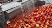 Complete sap productielijn met fruitverwerking, afvulling en verpakking; turnkey project voor saplijnen