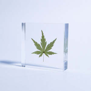 El yapımı numune bitki gömülü hatıra el sanatları akrilik reçine akçaağaç Paperweight hediye bırakır - Product Image 2