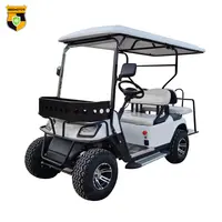Electric Club Car, 2 Seater, Mini Street Legal Golf Carts