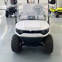 Voiture de transport électrique compacte à double freinage anti-roulis pour 2 personnes, idéale pour les trajets quotidiens courts et les clubs de golf