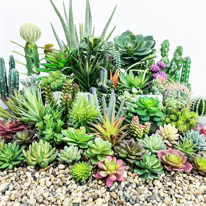 Succulentes en gros décoratif mini cactus assortiment extérieur intérieur suspendu arrangement plantes artificielles succulentes à vendre