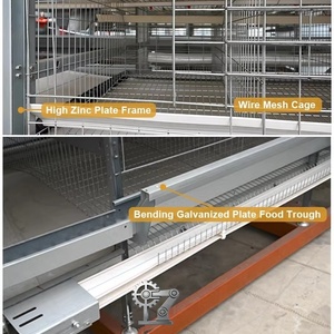 Nuevo Sistema Automático <span class=keywords><strong>de</strong></span> Jaulas para Pollos Tipo H <span class=keywords><strong>de</strong></span> 4 Niveles, <span class=keywords><strong>de</strong></span> Acero Galvanizado, para una Producción Eficiente <span class=keywords><strong>de</strong></span> <span class=keywords><strong>Huevos</strong></span> en Granjas Avícolas, Durable - Product Image 6