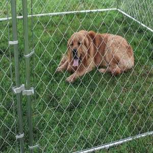 Special Offer 6 ft Chain Link <strong>Dog</strong> <strong>Kennel</strong> 10*10 Temporary Fencing for <strong>Dogs</strong> <strong>Dog</strong> Enclosure Outdoor - Product Image 2