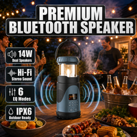 Radio numérique DAB+ d'extérieur durable DF-583 14W avec haut-parleur, alarme SOS et horloge – Fabrication directe, personnalisation acceptée