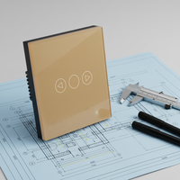 Interrupteur tactile WiFi intelligent Topshine de haute qualité avec contrôle par application et commande vocale pour éclairages à intensité variable