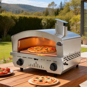Four à pizza au gaz, <span class=keywords><strong>prix</strong></span> Chine, four à combustible, cuisson, capacité 16, utilisation Naples, toasts combinés, four à pizza - Product Image 1