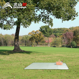 Bisinnna Aluminum Foil Camping Mat 200x150 Silver Moisture Proof Outdoor Tent Sleeping Pad for Family Picnic - Product Image 2