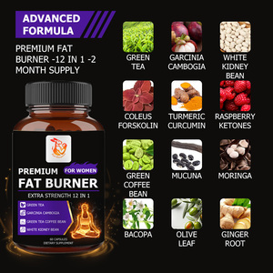 Compléments Alimentaires Naturels à Base de Plantes en Gros pour Usines : Feuille d'Olivier, Curcuma et Curcumine pour la Gestion de la Peau et du Corps, Brûleur de Graisse Premium - Product Image 5