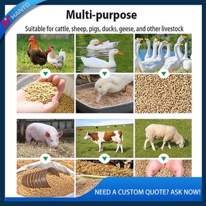 <span class=keywords><strong>Machine</strong></span> à granulés de diesel pour la fabrication d'aliments pour poulets, porcs et bovins avec une production stable pour les petites et moyennes exploitations agricoles - Product Image 5