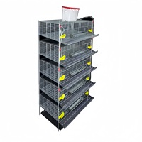 Cages métalliques pour cailles et perdrix à hauteur ajustable, avec système d'évacuation automatique du fumier, conception tridimensionnelle, alimentation/abreuvement automatiques
