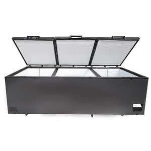 <span class=keywords><strong>Congelatore</strong></span> <span class=keywords><strong>Orizzontale</strong></span> a Pozzetto in Offerta Speciale - Grande <span class=keywords><strong>Congelatore</strong></span> a <span class=keywords><strong>Prezzo</strong></span> Vantaggioso - Product Image 2