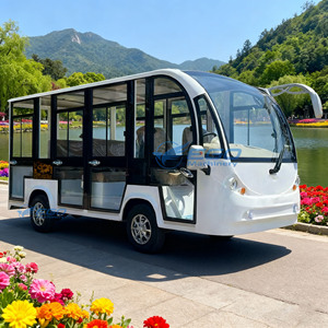 Nouveau modèle 2025 très demandé : Voiture de tourisme électrique de luxe à 11 places, fermée, homologuée pour la route, type mini-voiture de tourisme à quatre roues - Product Image 6