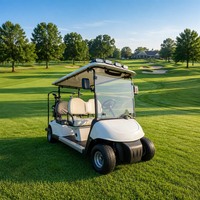 Programme de revendeur en gros Skywork OEM ODM – Chariots de golf électriques personnalisables 2, 4 ou 6 places avec batterie au lithium 72V