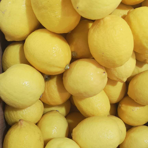 Cina All'ingrosso all'ingrosso di Stile Fresco e di Agrumi di Frutta Tipo di Prodotto Giallo Limone - Product Image 5