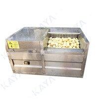 Nieuwe Semi-Automatische Fruitproductielijn Voor Aardappelchips Bevroren Frietjes Inclusief Mixer Friteuse Economische Fruitchips Maken