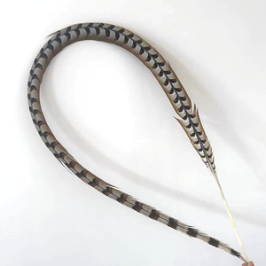 Plumas Artificiales Largas de Faisán, Colas de Faisán Teñidas y Blanqueadas de Fábrica, Plumas de Cola de Faisán Reeves Grandes y Económicas, Plumas de Faisán - Product Image 3