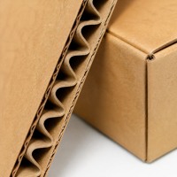 Individuell Bedruckte Kraftpapier-Wellpappkartons, Umweltfreundliche Biologisch Abbaubare Versandkartons für Internationale Logistik