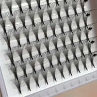 Extensions de cils en éventail de soie coréenne de qualité supérieure, prêtes à l'emploi, style naturel, courbure DD, faux cils